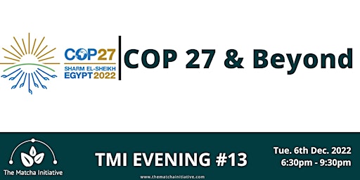 Decoding COP27 & beyond