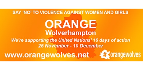 Orange Wolves Lunch & Learn - The Criminalisation of Domestic Abuse Victims