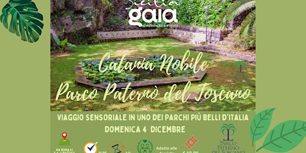 CATANIA NOBILE: VISITA AL PARCO PATERNO' DEL TOSCANO