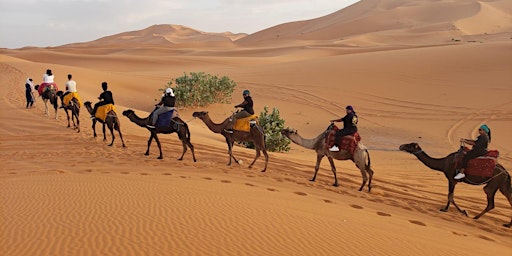 The Luxury Experience of Magical Morocco