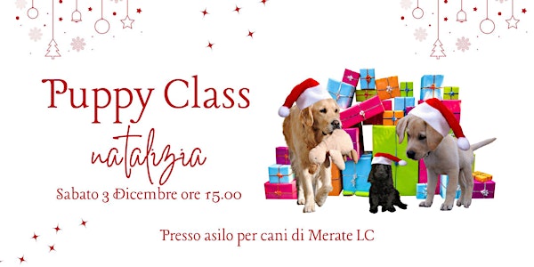 Puppy class di Natale