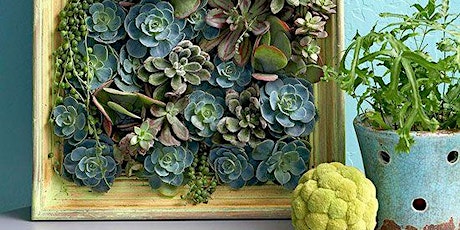 Vintage FAT Painted Succulent Wall Frame primary image