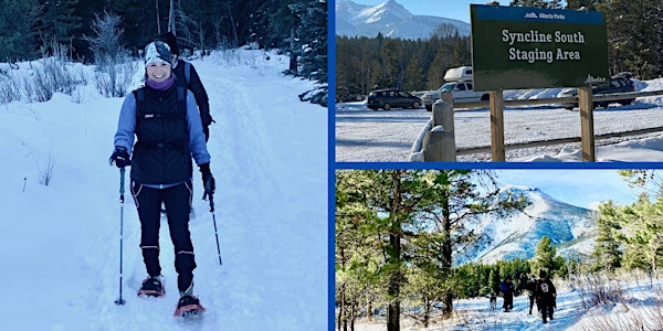 Syncline Guided Snowshoe