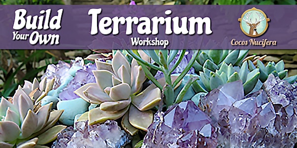 Terrarium Workshop at Thrive Health Food Essentials