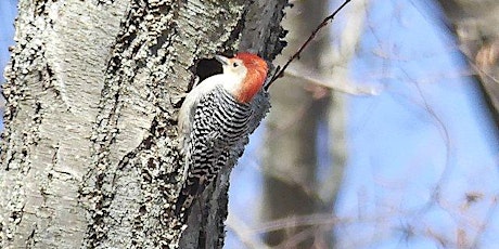 NJ Audubon New Year's Resolution Hike at Hawk Rise Sanctuary