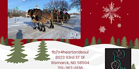 Old Fashioned Christmas with the Horses