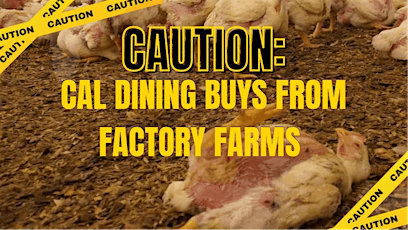 Caution: UC Berkeley Supports Factory Farms - Protest