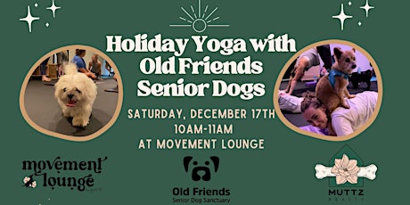 Holiday Yoga with Senior Doggos!