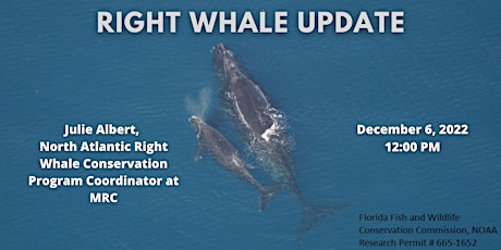 December Lunch & Learn - Right Whale Update