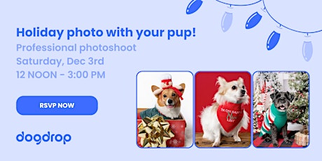Professional Holiday Photos with Your Pup!