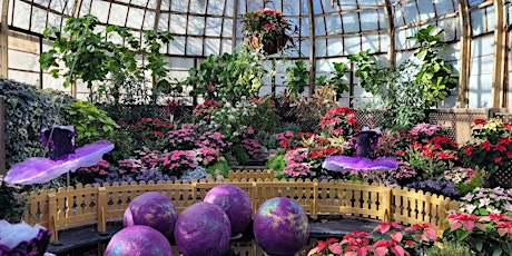 Lincoln Park Conservatory - Winter Flower Show Open House