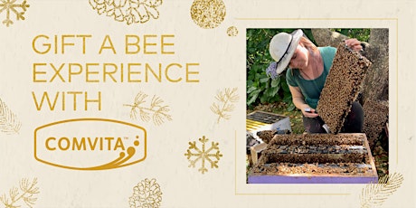 Hauptbild für Gift a Comvita Bee Experience for the Holidays