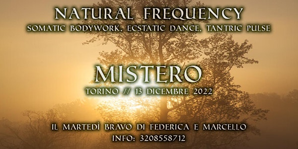 Natural Frequency - Mistero