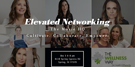 December Elevated Networking hosted by The Wellness Way Spring