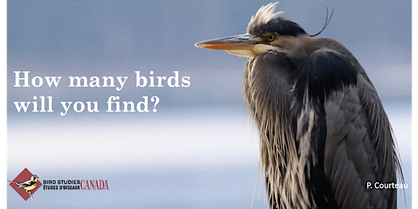 Noons Creek Great Backyard Bird Count