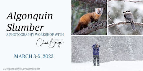 Canadian Wonders | Algonquin Slumber - Photo Workshop - March 2023