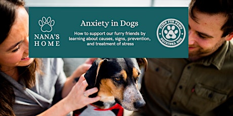 Primaire afbeelding van Anxiety in Dogs: Causes, signs, prevention, and treatment