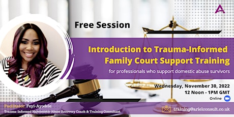 Family Court Support Training Intro