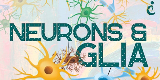Exploring the Mysteries of Your Mind: Neurons and Glia in Neuroscience 101!