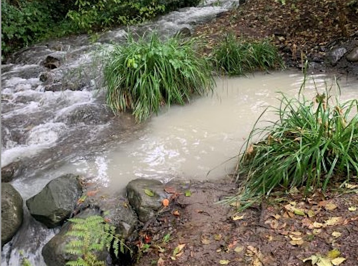 Community Rain Garden Build to Protect North Vancouver’s Wagg Creek image