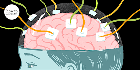 How Your Brain Works – Neuroscience Experiments for Everyone