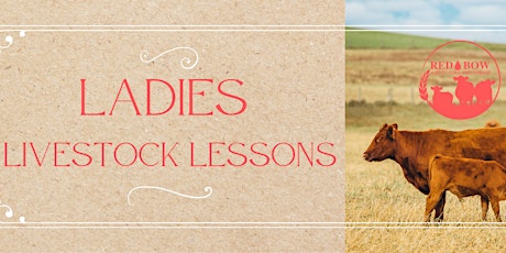 Ladies Livestock Lessons