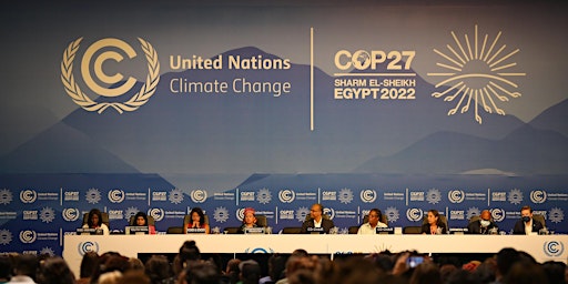 COP 27 - A Reflective Analysis