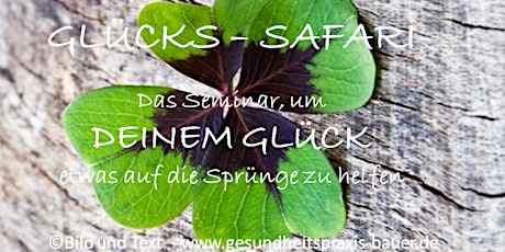 Hauptbild für GLÜCKS - SAFARI