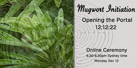 Mugwort Initiation ~ Opening the Portal of 12:12