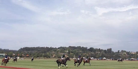 Have a game of polo