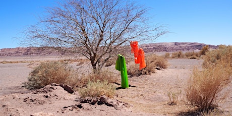 Imagem principal de Emily Scarrott: Desert residency crit & screening
