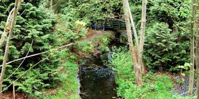event in Seattle: Duwamish Alive Work Party - Longfellow Creek