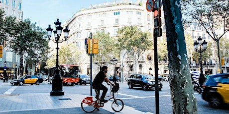 Image principale de Les centrales de marchés durables / De aankoopcentrales