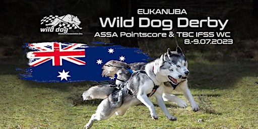 Dryland Sled Dog Race - WILD DOG DERBY!