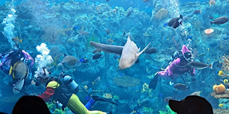 A day trip to the Marine Aquarium