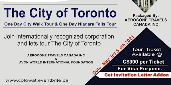 City of Toronto Walk Tour and Niagara Falls Tour