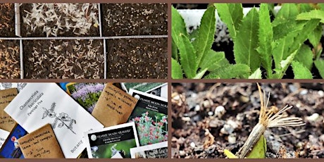 Winter Seed Sowing and Sharing for Native Plants *Free Event *
