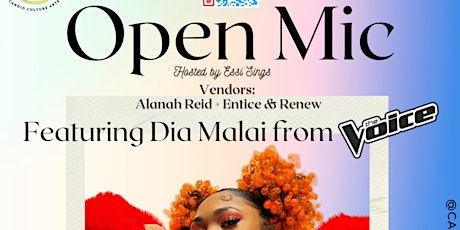 Open Mic Ft. Dia Malai In Downtown Raleigh