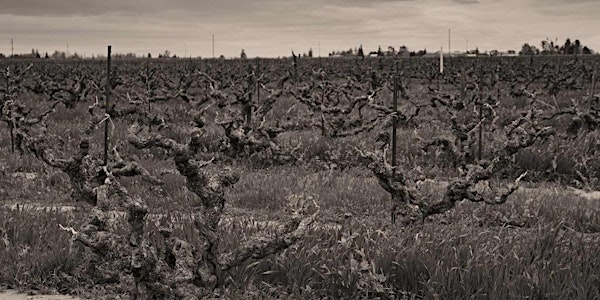 Historic Vineyard Society Talk + Tasting