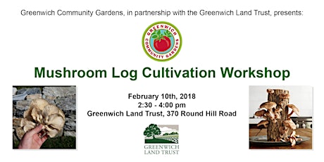 Greenwich Community Gardens presents: Mushroom Log Cultivation primary image