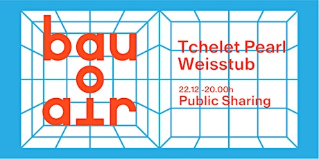 Public sharing BAU AIR residency with Tchelet Pearl Weisstub