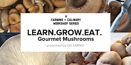 LEARN.GROW.EAT. -A Farming & Culinary Workshop Series