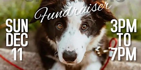 Friends of Loudoun County Animal Services Christmas Fundraiser