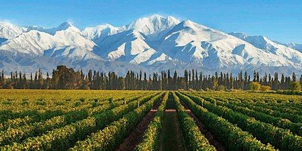 TERROIR VALLE DE UCO