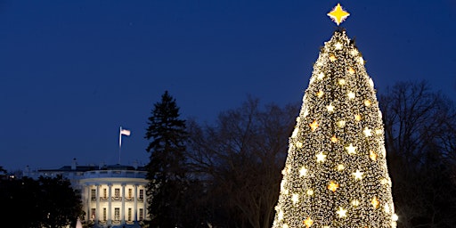 Limousine, Luxury and Lights: Holiday Limo Tour of the Festive Lights of DC