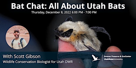 Bat Chat: All About Utah Bats