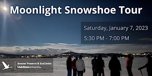 Moonlight Snowshoe Tour primary image