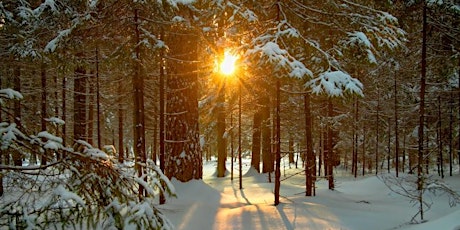 Mountain Mindfulness ~ Winter Solstice Walk