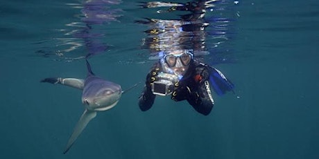 Blue Sharks Freediving Trip: The Ultimate Underwater Adventure in the UK! primary image