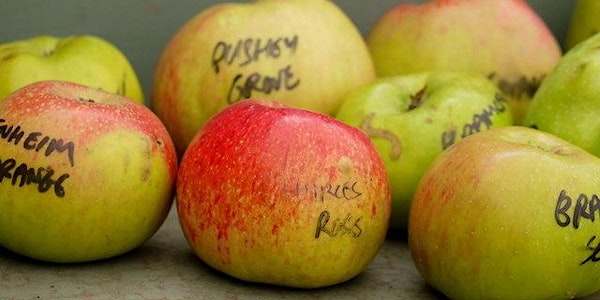 Apple Identification - West Yorkshire